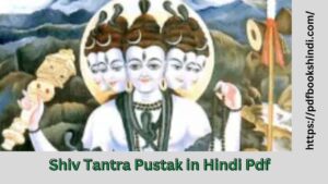 Shiv Tantra Pustak in Hindi Pdf